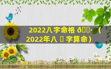 2022八字命格 🌷 （2022年八 ☘ 字算命）